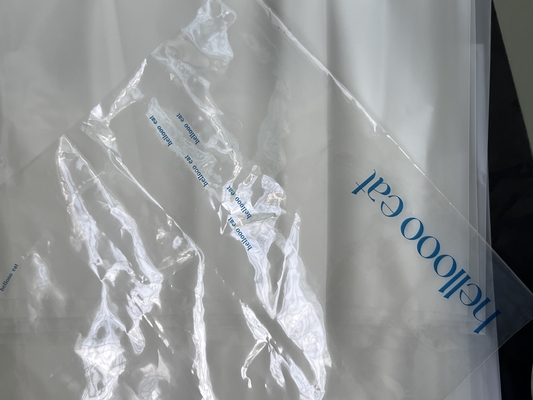 Behoorlijke reistas voor kleding, huidverzorgingsproducten Zipper Plastic verpakkingszakken met meerdere maten